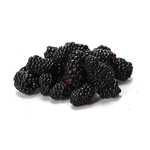 Blackberries, 6 oz