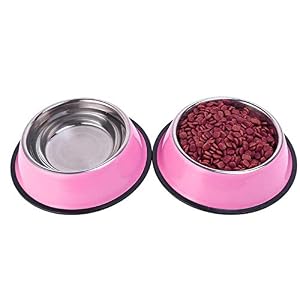 Whippy Stainless Steel Dog Bowls for SmallMedium and Large Pets Water and Food Container Set of