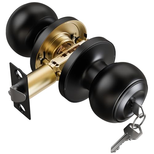 TDCHINGES 1 Pack Keyed Black Door Knob with Lock Key for Bedrooms Bathroom Closet Pantry Office Standard Exterior Interior Door Knobs for Doors Hardware Locking Replacement Home Decor Satinless Steel