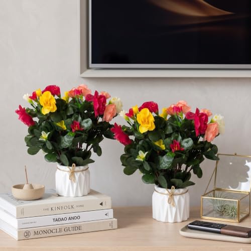 Image of Dekorly Artificial Lavender Plant in White Pot, 18cm - Realistic Faux Flower Arrangement for Home & Office Decor (Set of 1) (2, Camellia Flower Pot)