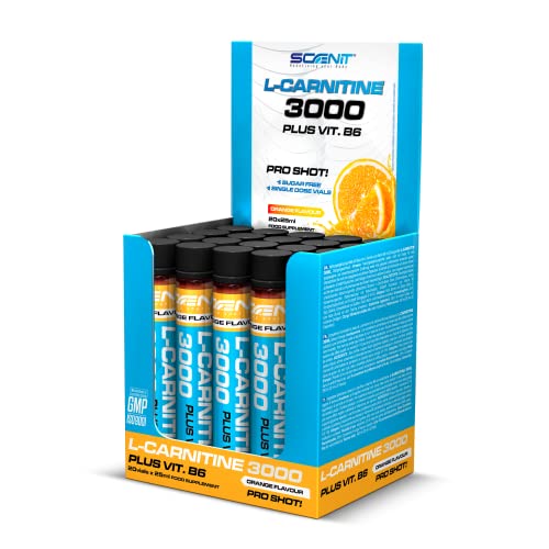 L Carnitin Liquid - L Carnitin 3000 - L Carnitin Ampullen - L-Carnitin Liquid - L-Carnitin Hochdosiert - L Karnitin 3000 mg (20 Einheiten à 25 ml) (Orange)