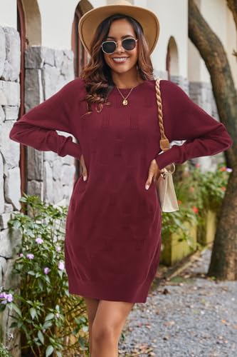 Arach&Cloz Womens Fall Fashion 2024 Sweater Dress Oversized Crew Neck Long Sleeve Knit Pullover Winter Clothes4