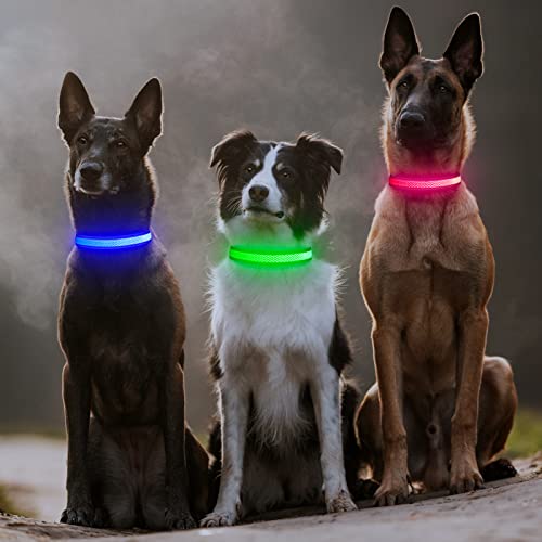 Leuchthalsband Hund, Colaseeme LED Hunde Leuchthalsband, Wasserdicht Hundehalsband Leuchtend, HundeleuchthalsbäNder Aufladbar für Pet Night Walking Safety, grün M