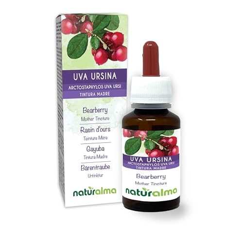 Gayuba o Uva ursi (Arctostaphylos uva ursi) hojas Tintura Madre sin alcohol Naturalma - Extracto líquido gotas 60 ml - Complemento alimenticio - Vegano