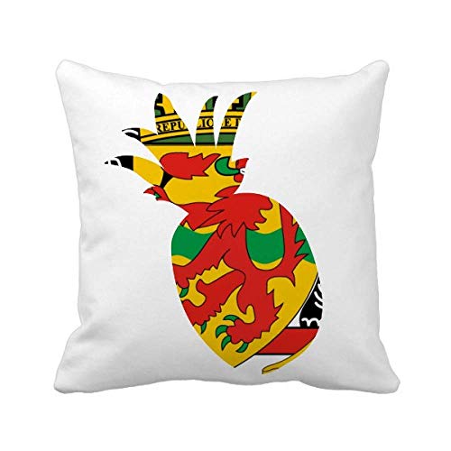 Coussin National Congo Ananas Idée Cadeau Idéale Déco Maison