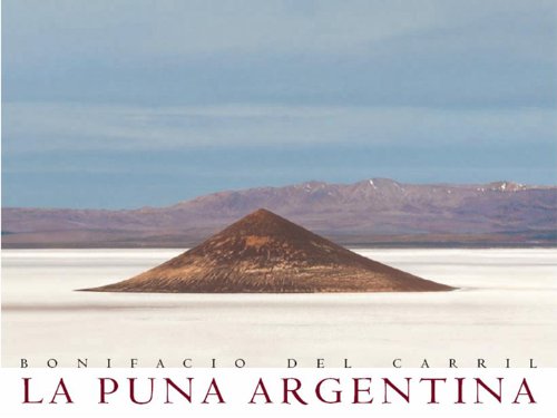 Preisvergleich Produktbild The Argentine Puna (Spanish Edition)