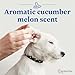 CeraSoothe® SA Otic Cleansing Solution 16oz