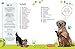 Alles über deinen Hund: So sorgst du für dein Lieblingstier. Mit Steckbriefen beliebter Hunderassen und Quiz (Mein Haustier)