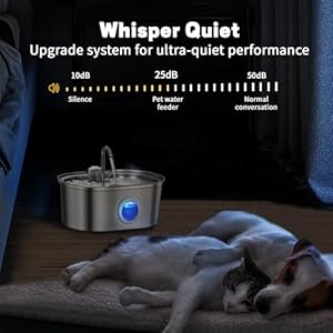 Cat Water Fountain 32l108oz Stainless Steel Pet Water Fountain Automatic Dog Water Fountain with Water Level Window Quiet Pump Multifilter Dishwasher Safe Water Fountain for Cats Inside  Cucciolini Doodles Cat water fountain 3 2l108oz stainless steel pet water fountain automatic dog water fountain with water level window quiet pump multi filter dishwasher safe water fountain for cats inside   cucciolini doodles