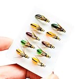 Qitewwrme 10Pc Bagnato Volare Esca Volare Per Basso Trota Salmone Testa Caddis Ninfa Pesca Fatto A Mano Insetti Artificiali Pesca Lode (Mix Color)