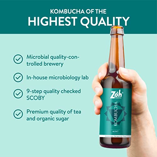 Image of Zoh Probiotics Mint Kombucha |(330 Ml, Pack Of 3)Green Tea With Detoxifying Acids, And Digestive Enzymes | Raw, Unfiltered, And Unpasteurized With Mother | Made With Real Mint Tea, 1.8 Kg