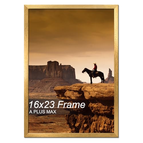 A PLUS MAX 16x23 Picture Frame Gold Light Weight Wall Mount