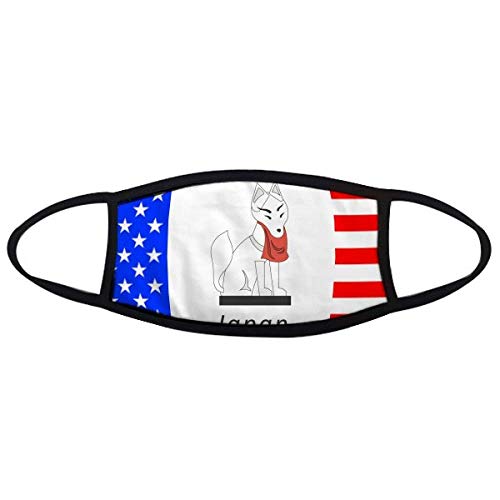 Masque japonais renard anti-poussière pour vélo et ville