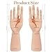 1 Pair of Male Mannequin Hand Display 12Inch for Jewelry Left Right Display Holder Bracelet Necklace Ring Stand Plastic Forearm Human Casting for Jewelry Ring Decor, Skin Color