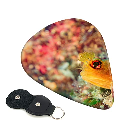 M^[sbN 6Zbg 0.46mm 0.71mm 0.96mm GLM^[ x[XpsbN EN M^[ ABSf GNgbN AR[XeBbN y S gCAO sbNi IWF̃RPM| j