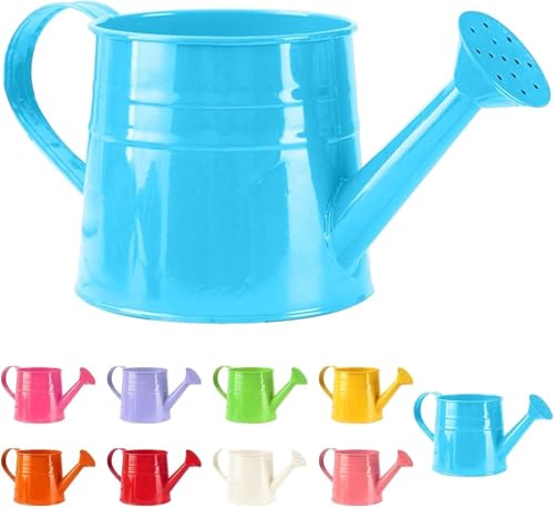 Small Watering Can for Indoor Plants Mini Houseplant Watering Can with Handle for Indoor/Outdoor Garden Home Plants(1pc)