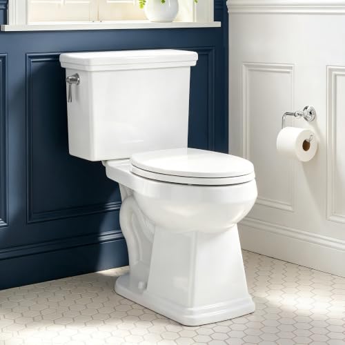 Image of 17.3 inch Elongated Toilet with Soft Close Seat, Two piece Toilets for Bathroom