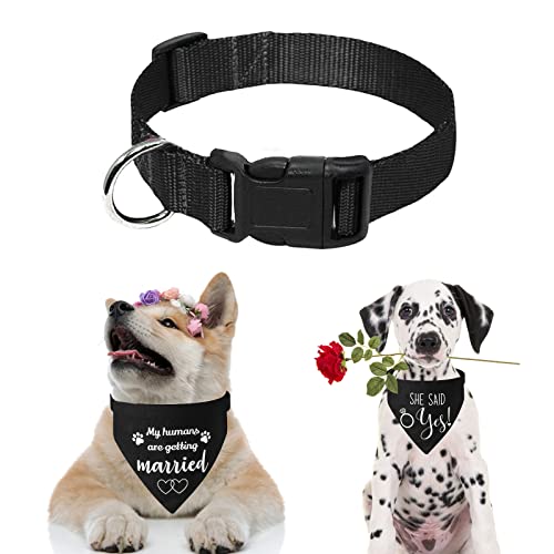 HACRAHO Bandana per cani da sposa, confezione da 2...