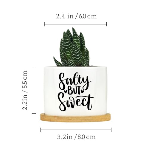 DreamAutumn Salty But Sweet Planter Ceramic Round Plant Pots with Drainage Holes and Bamboo Tray Planting Small Flower Pots for Home Windowsill Desk Garden Indoor Outdoor Use - Thumbnail 2