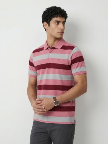 Image of Raymond Men Modern Fit Stripe Pattern Pure Cotton Polo Neck Half Sleeve Casual T-Shirt