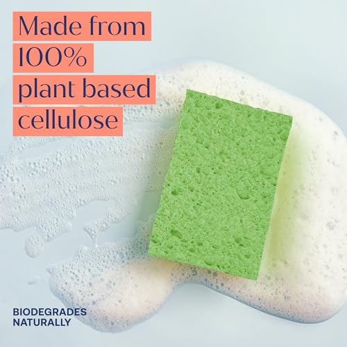 Image of Fab Tab Pop-Up Sponges - 12 Count Cellulose Sponges - Self-Expanding, Highly Absorbent, Non-Scratch, Assorted Colors - for Kitchen, Bathroom & Countertop Cleaning