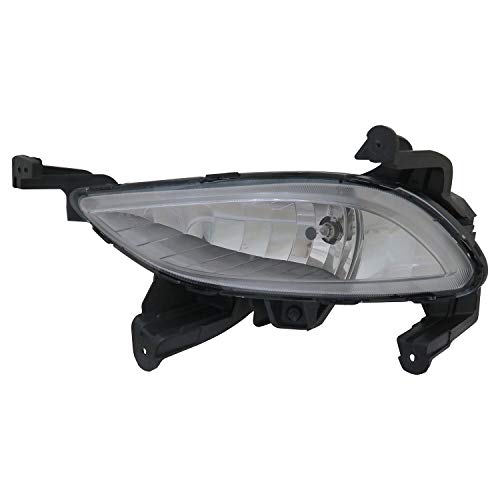 TYC Left Fog Light Assembly Compatible with 2014-2014 Hyundai Santa Fe