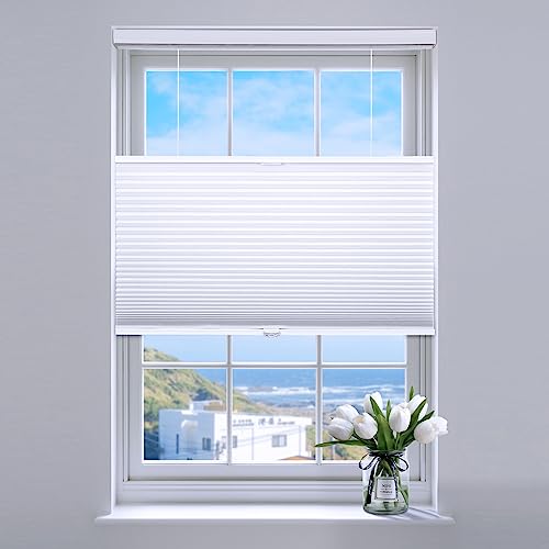 SUNFREE TDBU Blackout