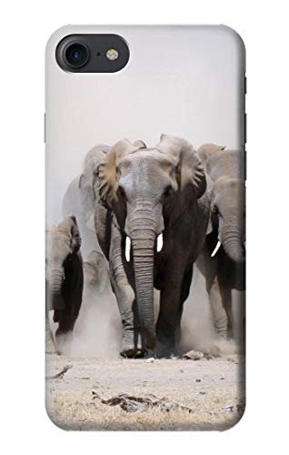 Etui African Elephant coque antichoc compatible iPhone SE 2020 8 7