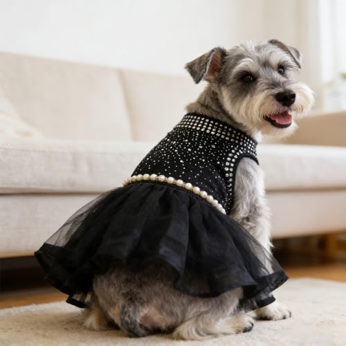 Vestido de encaje para perro talla XL negro miniatura 5
