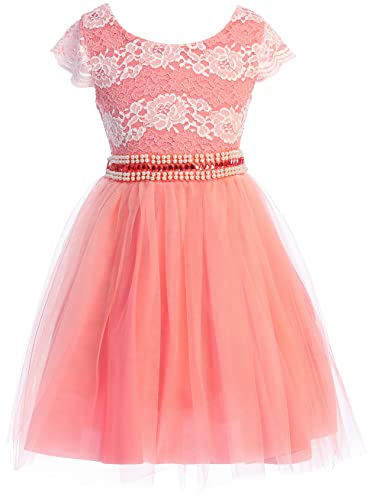 BNY Corner Floral Lace Top Tulle Flower Holiday Party Flower Girl Dress USA