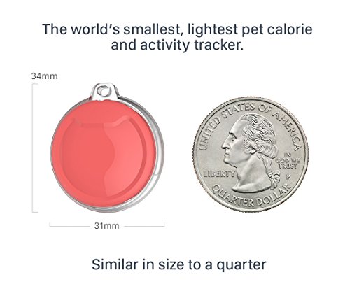 poof Pet Calorie and Activity Tracker, Coral, 7 Grams