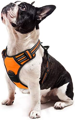 Amazon Rabbitgoo 犬 ハーネス 小型犬 5 15kg 引っ張り防止胴輪 負担が少ない首輪 足を上げず装着完成 サイズ調整可 夜間反射安心散歩 抜けない サポート持ち手付き ソフト 通気性高 咳き込み防止 歩行補助 老犬介護 しつけ 運動向き 犬 小型犬 大型犬 柴犬 秋田犬