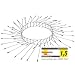GARDIGO® Katzenabwehrgürtel I Katzenschreck Baumschutz I Bis 21 cm Durchmesser | Individuell anpassbar | Galvanisierter Stahl | Kletterschutz zur Katzenabwehr I Marderschreck Fallrohrschutz