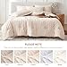 MUXHOMO 7 Pieces Queen Comforter Set, Seersucker Bed in a Bag Queen Size, All Season Luxury Bedding Set with Comforter, Flat Sheet, Fitted Sheet, Pillowcases & Shams, Beige