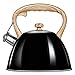 Smile MCN12/C Tetera con Silbato, Hervidor de Agua Retro, Inducción, Vitrocerámica, Todo Tipo de Cocinas, 3 L, Acero Inoxidable, Mango Imitación Madera Tacto Frío, Diseño Vintage, Negro
