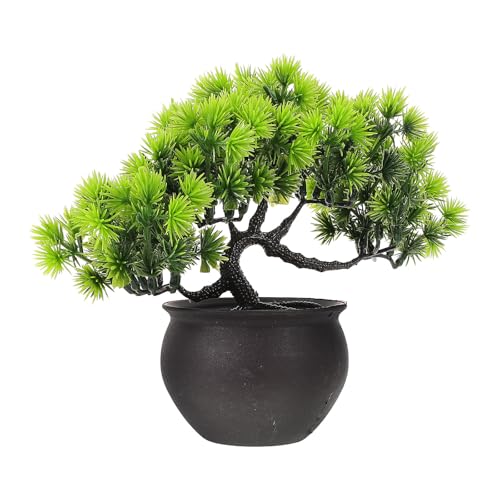 TENDYCOCO lHϗtA A ~j~ ͌^ e[u p ^O[ ItBX⃊rO