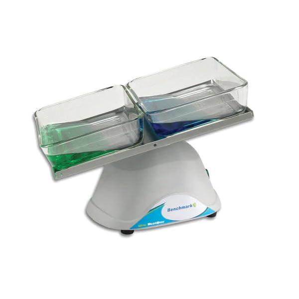 Benchmark B3D1008-D-CANADA Mini Blot 3D Rocker with 7.5x10.5" Platform