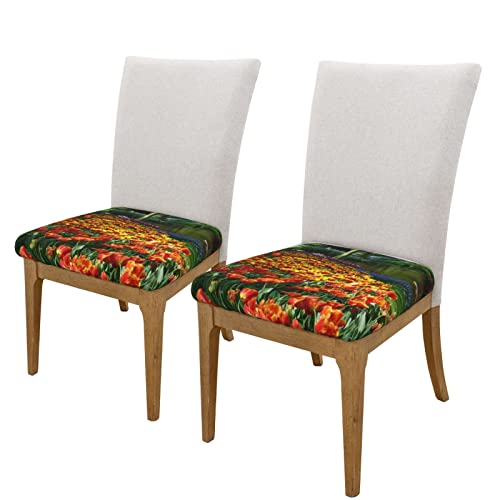 Bafafa Spring Tulip Garden Printed Square Cushion Cover Chair Slipcovers Dining Room Chair Seat Cushion Covers Chair Protector For Kitchen Office Two Pieces #TOP1