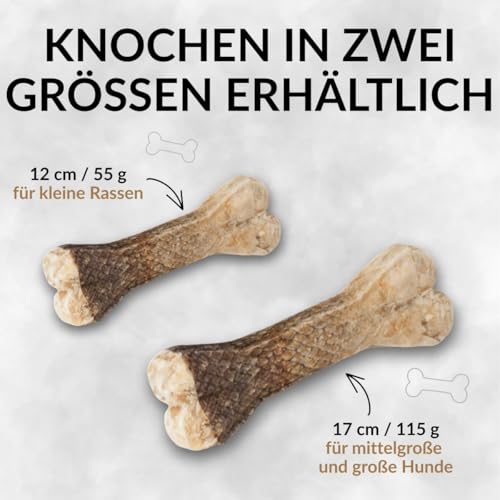 GUSTO PETS Kauknochen für Hund mit Lachs-Haut 12 cm - 100% Natürlicher Hundesnack aus Rinderhaut & Lachs, Ergänzungsfuttermittel, reich an Protein & Omega-3-Fettsäuren, Hergestellt in der EU