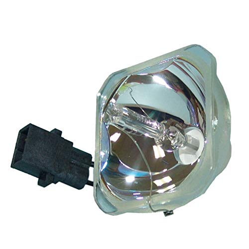 Lampe de projecteur de remplacement EB-S02 EB-S11 EB-S11 EB-W12 EB-W16 EB-X12 EB-X12 EB-X14 EB-X14G EH-X14G EH-X14G EH-X14G EX3210 H494C Lampe de projecteur Ajustez pour ELPLP67 FIT POUR EPSON Ampoule