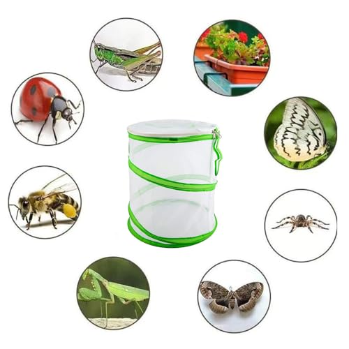 Insekt und Schmetterling Habitat Käfig Tragbar Faltbar Schmetterlingslebensraum Zusammenklappbar Insekten Netzkäfig für Insekten Schmetterlinge Beobachtung (30 x 35 cm, Grün)