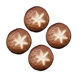 QUMIIRITY 4stücke Künstliche Pilzmodelle Aus Realistische Imitation Von Shiitake-pilzen Für Dekoration Und Fotografie Attraktion Für Gemüsegeschäfte Und Ausstellungen