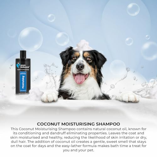 GROOM PROFESSIONAL Coconut Moisturising Hundeshampoo Sensitiv - Beruhigendes Hundeshampoo für Juckende Haut - Empfindliches Shampoo für Hunde - Pflegt & Stellt das Fell Wieder Her, 1 Liter