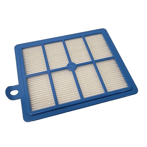 Electrolux - EFSW1/E12 filter