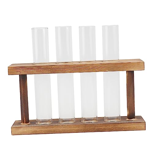 Decoración moderna para plantas acuáticas en jarrón de vidrio 2
