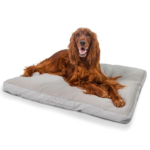Best Friends by Sheri Orthopedic Dog Bed with Water-Resistant Cover