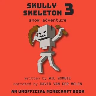 Skully Skeleton 3: Snow Adventure cover art