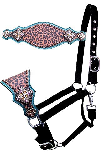 ShowmanNylon Bronc Halter w/Teal Leather & Cheetah Print Noseband, Average Full Size Horse