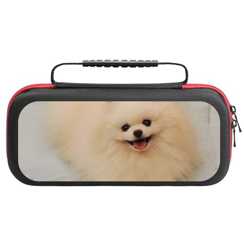 SwitchQ[@[obO ybg̏ё (60) Switch XCb`P[X [obO [ یJo[ ho h ϏՌ Sʕی^ y ^ѕ֗ Q[J[h܂20܂One Size