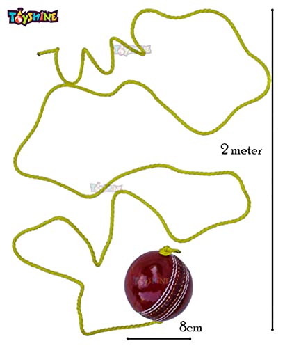 Toyshine Cricket Hanging Ball For Shot Practice, (Leather, Sstp, Red) 3